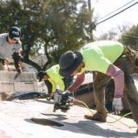 DLS Development Inc ico