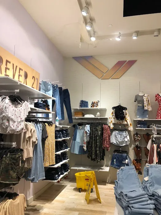 Earnest Roofing Solutions Picture 9