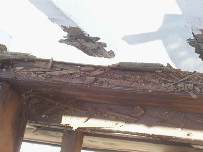 Atkins Roofing and Roof Repair Picture 7