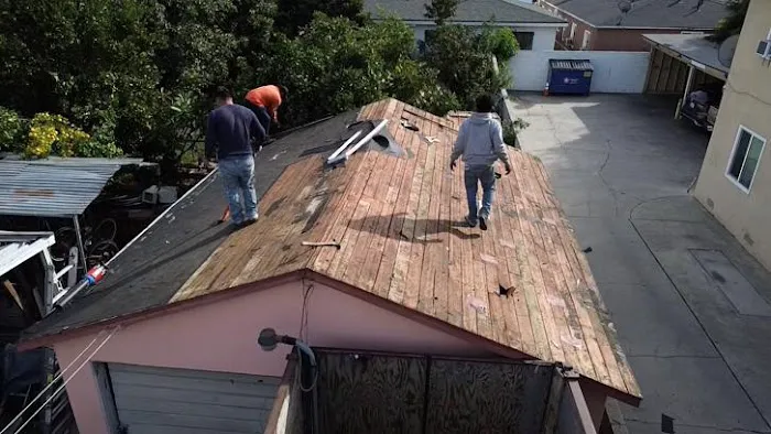 DNA ROOFING Inc Picture 1