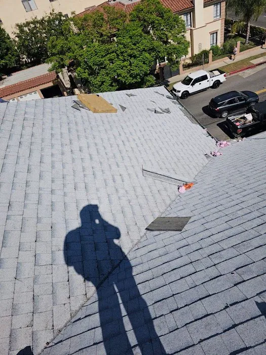 DNA ROOFING Inc Picture 2