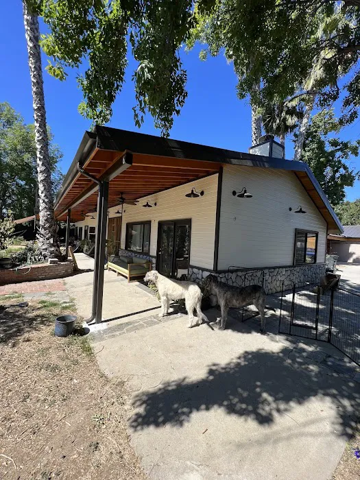 Factor Roofing Picture 7