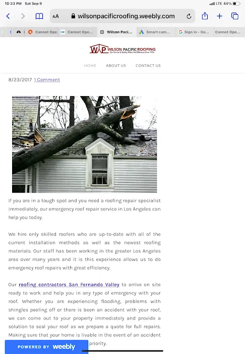 Wilson Pacific Roofing Picture 3