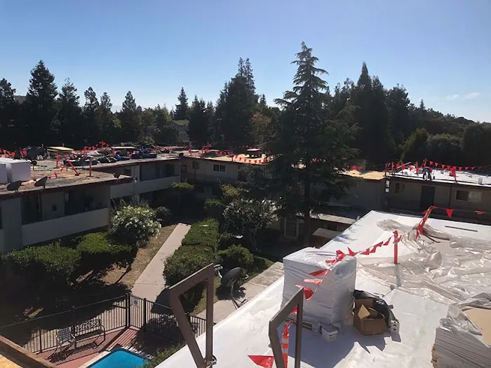 Single Ply Roofing Experts Picture 5