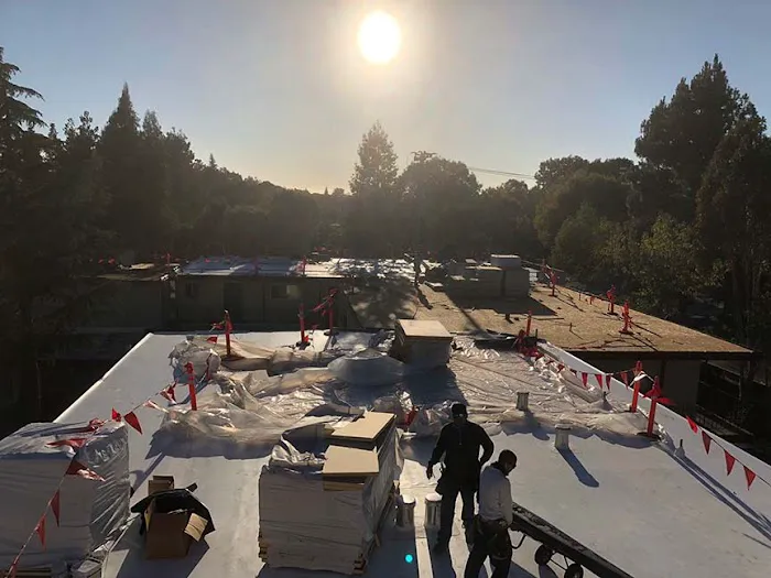 Single Ply Roofing Experts Picture 3