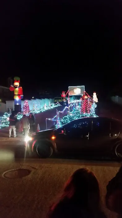 Rodgers Roofing Picture 4