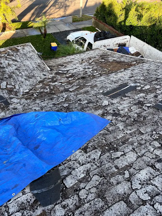 Expert Roofing Picture 2