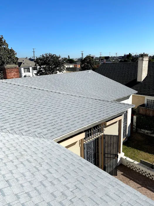 Expert Roofing Picture 6