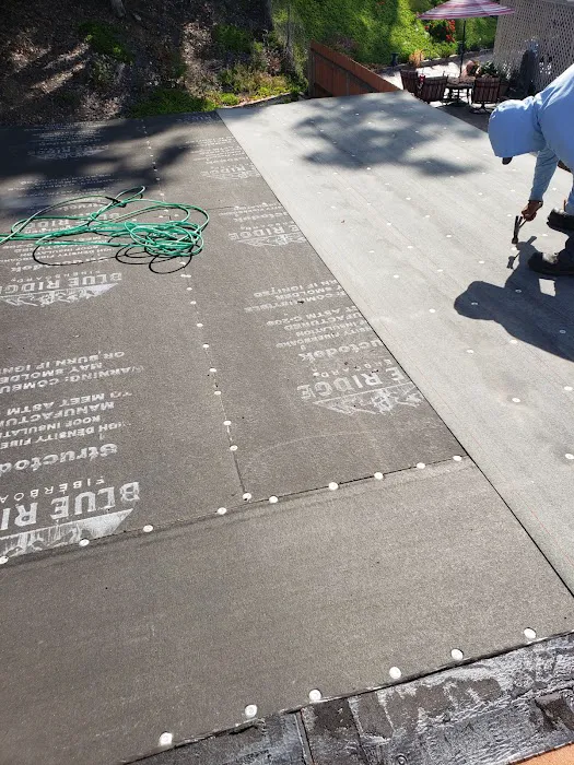 RESCUE ROOFER San Juan Capistrano Picture 3