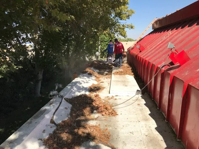 Viza Roofing Picture 3