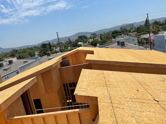 Viza Roofing Picture 6