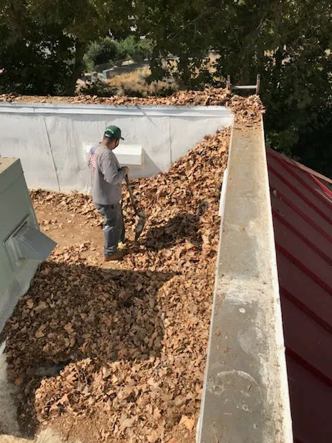 Viza Roofing Picture 5