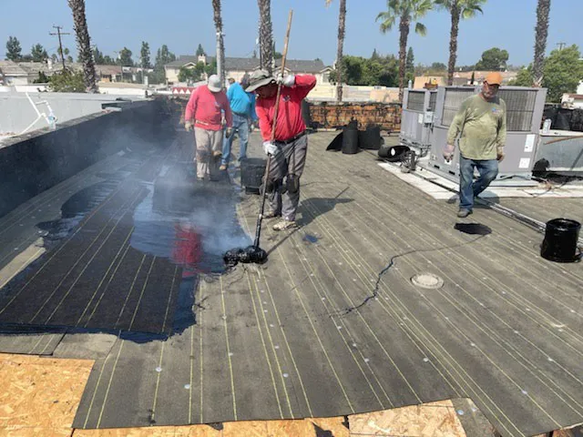 Viza Roofing Picture 7