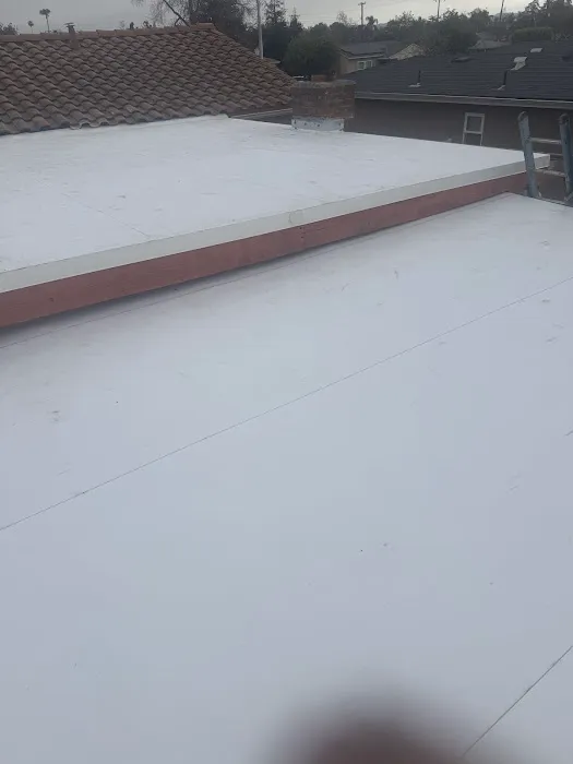 Jorge Moreno Picture 1