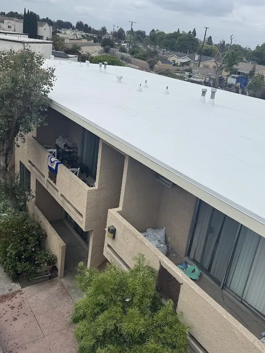 Jorge Moreno Picture 5