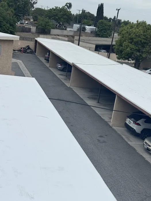 Jorge Moreno Picture 2