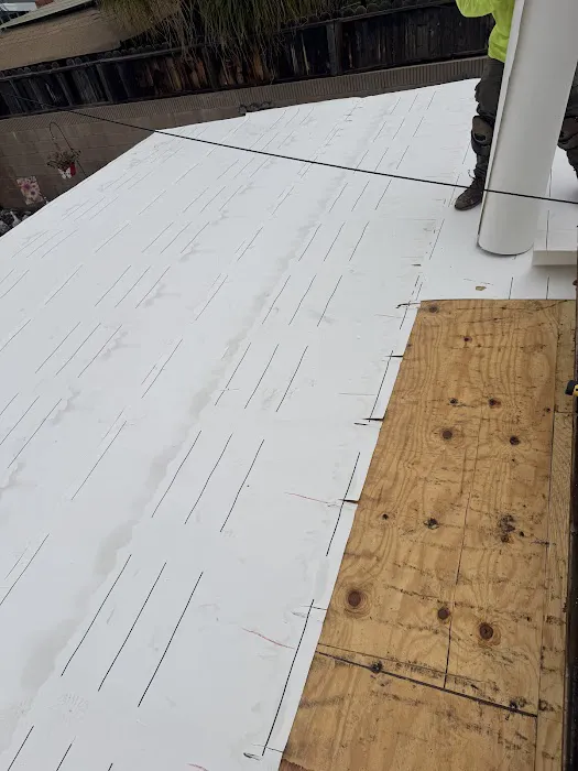 Jorge Moreno Picture 4