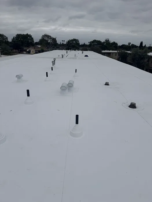 Jorge Moreno Picture 6