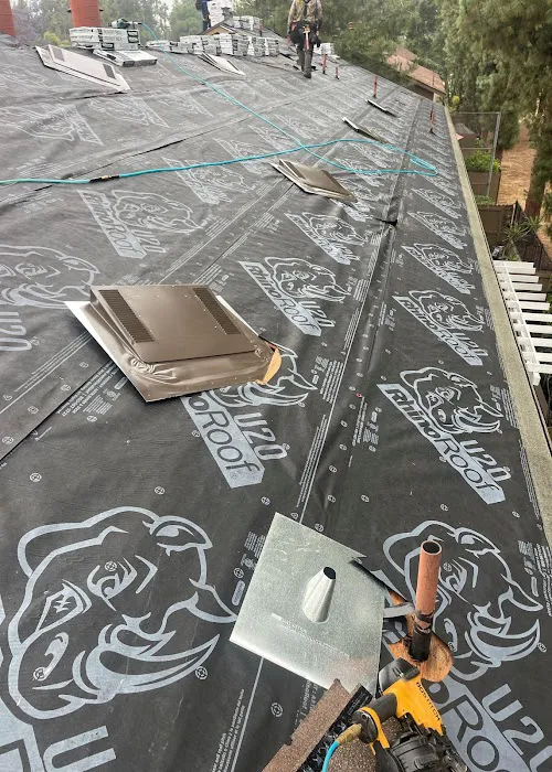 Jorge Moreno Picture 10