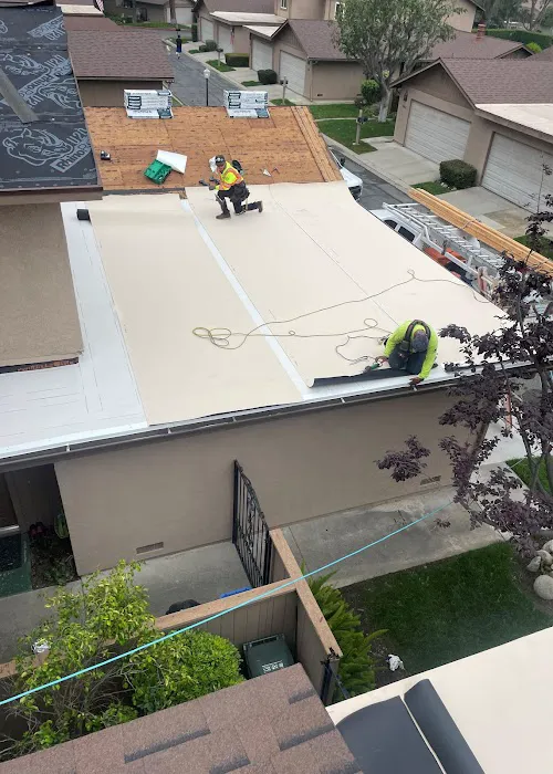 Jorge Moreno Picture 8