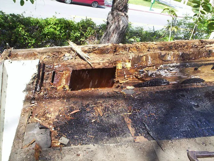 South County Roofing Picture 7