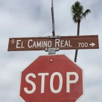 Top Quality Roofing ico