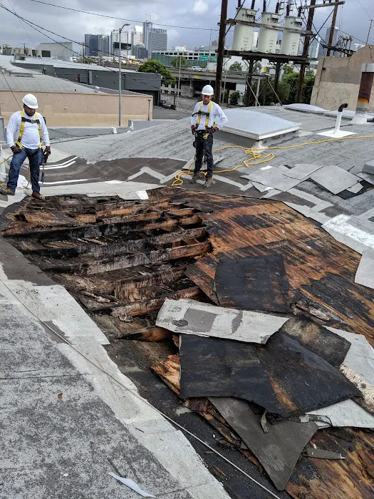 HP Commercial Roofing PRO Picture 4