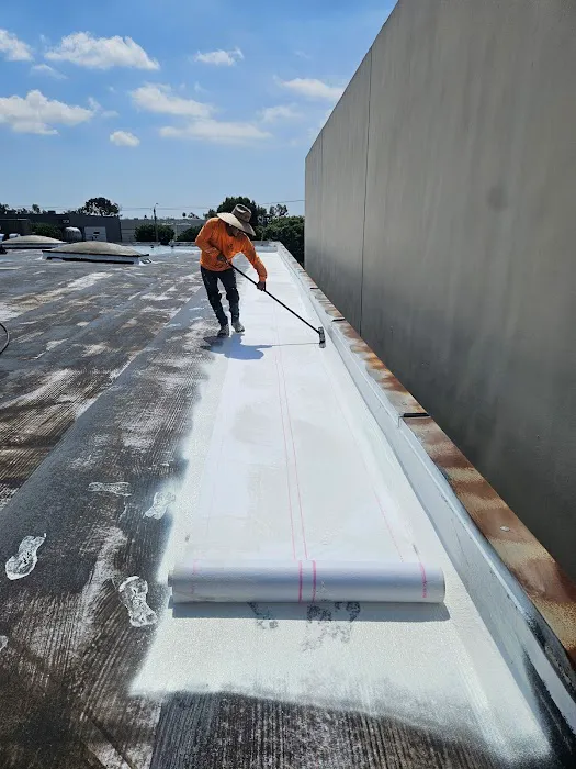 Ramon Total Roofing Picture 2