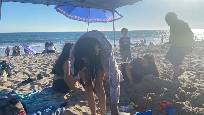 Prestige Roofing Service Inc Picture 2