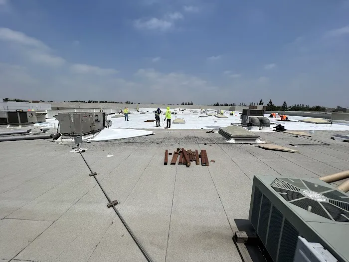 Saddleback Roofing Picture 6