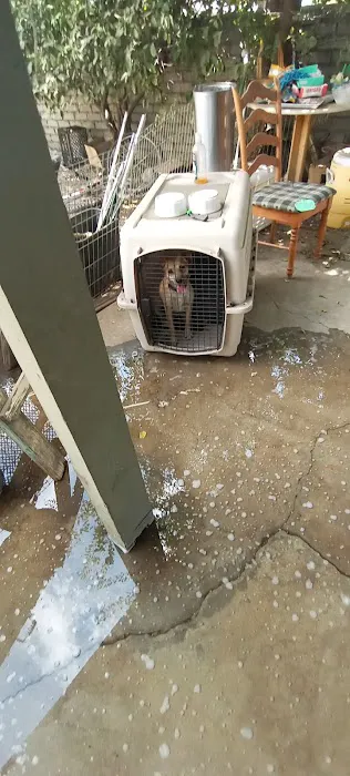 Bradshaw Roofing Co Picture 2