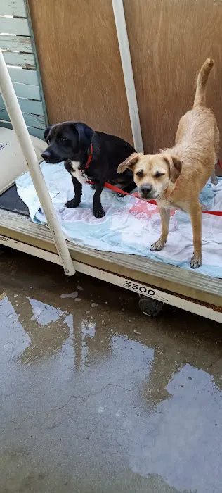 Bradshaw Roofing Co Picture 10