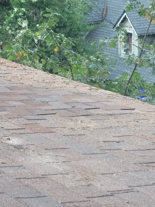 Colon Prestige Roofing Picture 4