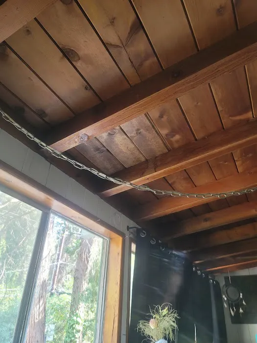 Colon Prestige Roofing Picture 3