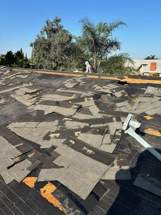 Double Eagle Roofing & Waterproofing Picture 5