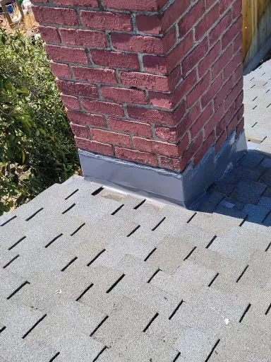 Go Roof Tune-Up, Inc. Picture 2