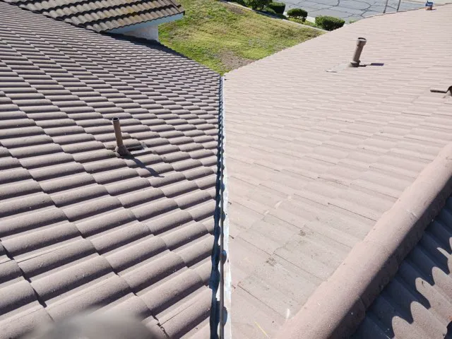 Go Roof Tune-Up, Inc. Picture 6