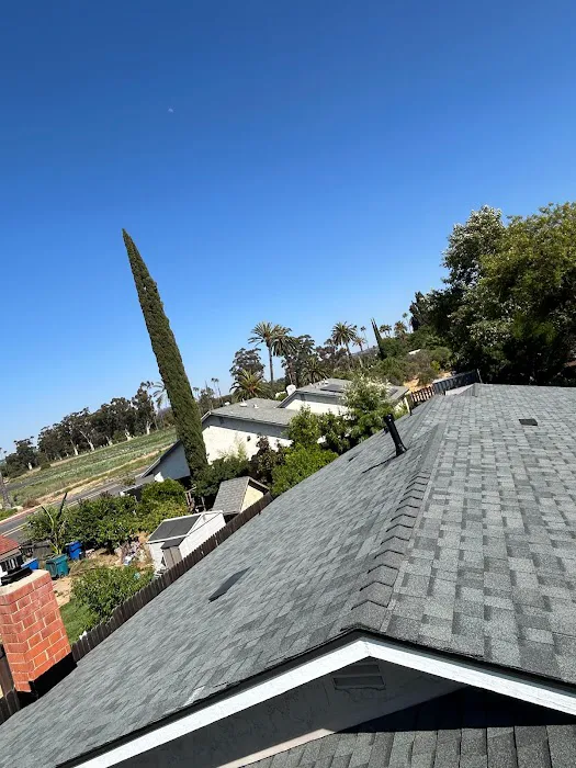 Roofing and More, LLC Picture 6