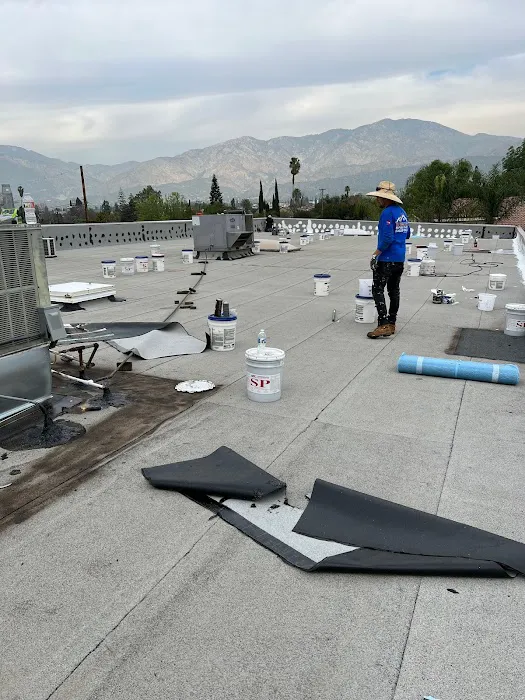 Elite Roofing And Solar Solutions Picture 2