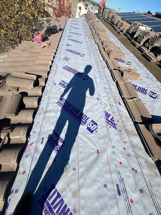 Aloha Roofing Picture 1