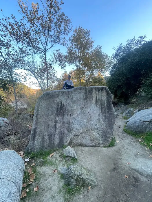 Aloha Roofing Picture 2