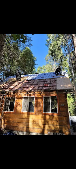 TM Roofing Picture 9