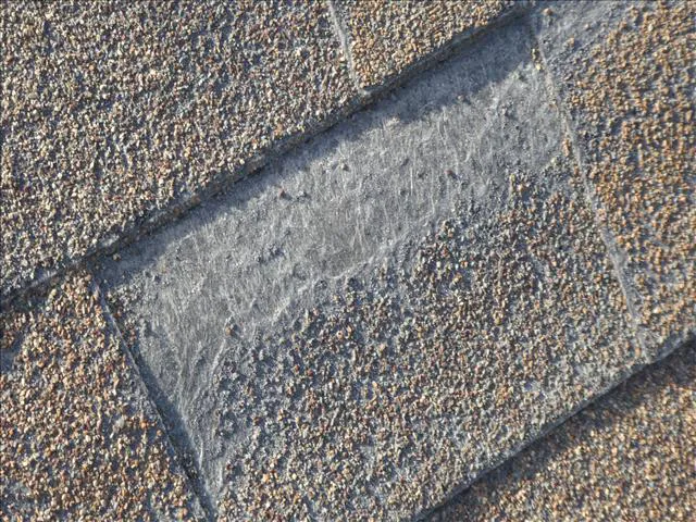 Cert-A-Roof Picture 4