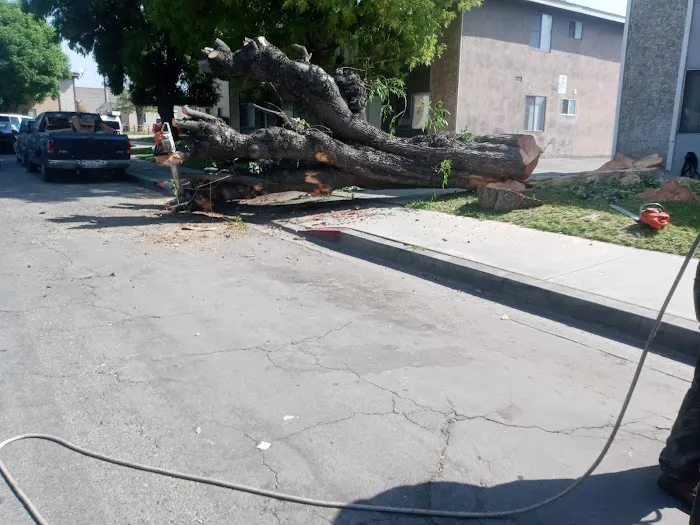 NuPhase Construction Picture 5