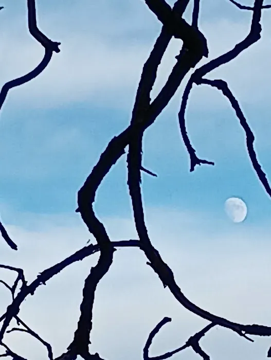 Roof Rider Picture 1