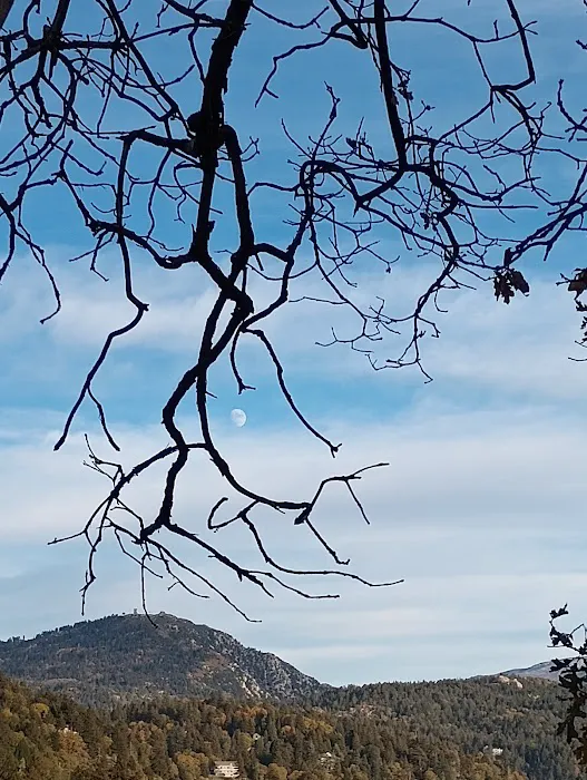 Roof Rider Picture 3