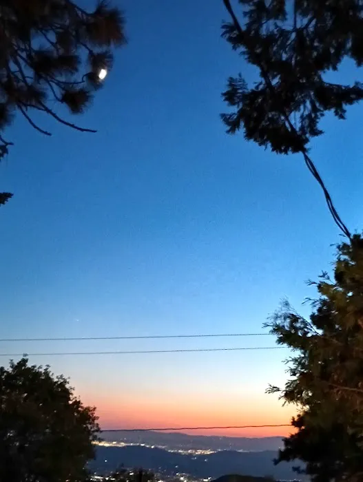 Roof Rider Picture 8