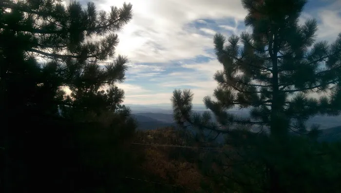 Roof Rider Picture 6