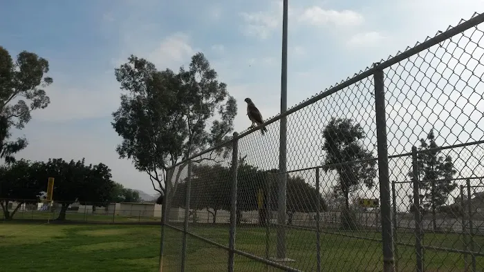 Rapid Roofing Co Picture 2