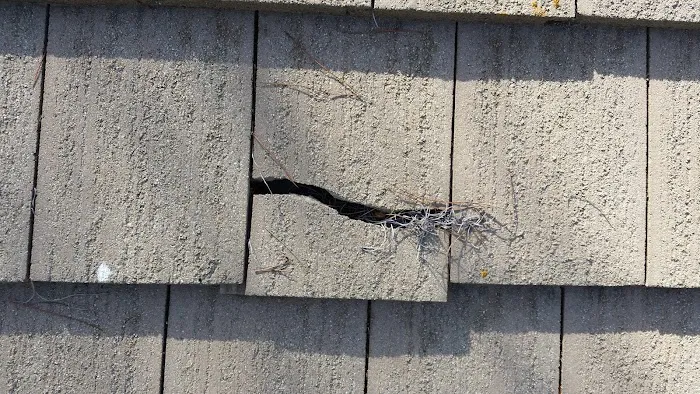 Extreme Roofing Picture 9